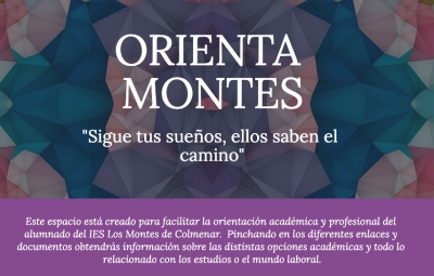 Orientación académica y profesional