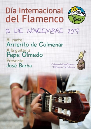 Día Internacional del Flamenco