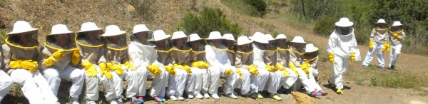 Visita del alumnado de 4ºDiver al Museo de la Miel
